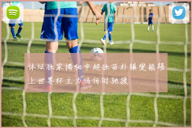 体坛独家揭秘中超独苗朴镇燮能踢上世界杯主力吗何时驰援