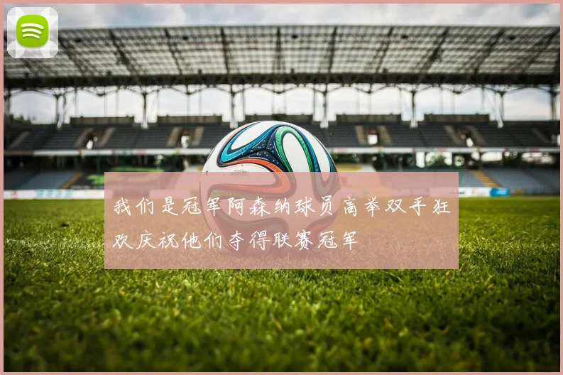 我们是冠军阿森纳球员高举双手狂欢庆祝他们夺得联赛冠军
